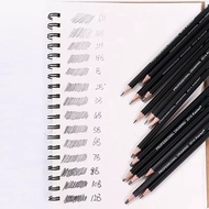 Brutfuner Grade pencil set Of 14 HB 2B 4B 6B 8B Standard For Drawing Case Lumograph EE