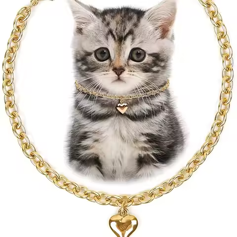 Waterproof Stainless Steel 18K Gold Heart-Shaped Dog Collar Cat Chain Necklace for Small Pets Cats K