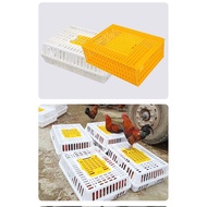 Bakul Ayam Bakul Haiwan Ayam Proses plastic Live Chicken Transport Cage Poultry Transport Crate