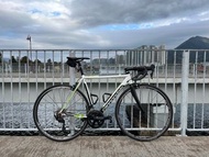 Cannondale CAAD 10