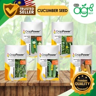 AgroBuddy x CropPower Biji Benih Timun | Cucumber Seed DC272 DC171 DC777 DC989 OC575 青瓜种子