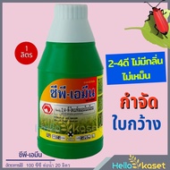 ยากำจัดหญ้า ซีพีเอมีน 24D ไดเมทิลแอมโมเนียม กำจัดวัชพืชใบกว้างและกก กำจัดลึก กำจัดทน กำจัดนาน ปลอดภั