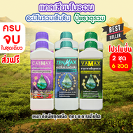 ( 2ชุด 6 ขวด ) CABMAX แคลเซียมโบรอนเข้มข้น + VAMAX ธาตุอาหารรวมเข้มข้น + ZENMAX อะมิโนรวมเข้มข้น