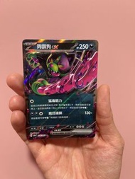 Pokémon 寶可夢卡牌 夠讚狗ex (繁體中文版)