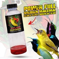 POWER ZOSTEROPS DOPING PLECI SOGON KONIN INSTANT WATER ENERGY CEPAT GACOR BUKA PARUH NGOBRA BONGKAR 