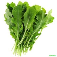 ™◑RARE Italian Rocket Lettuce / Arugula Vegetable Salad Seeds ( 1000 seeds ) - Basic Farm House men'