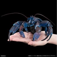 11月預售 萬代 扭蛋 限定 生物大圖鑒 藍色 椰子蟹
