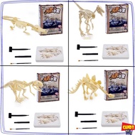 Fossil dinosaur archaeological excavation toy