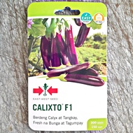 CALIXTO F1 HYBRID EGGPLANT SEEDS (300 SEEDS) EAST WEST SEED