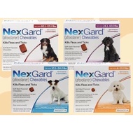 Nexgard/Spectra exp 11/2026 1box