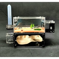 Ant farming box H02/ Ant Tank H02