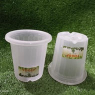 8 round yoga pot, 8 cm yogap pot, small pot, tall pot