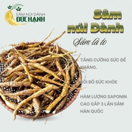 Southern Mountain Ginseng Root For 5-7 Years Old | Big leaf ginseng