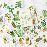 45 Pcs/lot Plant Mini Paper Sticker Paper Craft