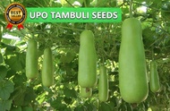 (25 SEEDS) F1 UPO TAMBULI/SUPER LONG/BOTTLE GOURD/HIGH GERMINATION RATE/EASY TO PLANT/HIGH YIELDING/
