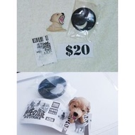 野性之証扭蛋驚喜！探索動物世界的神秘力量！🦁🐺🦓"