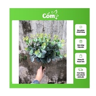 Apple Branches 16 Decorative derco Branches