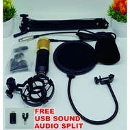 BM800 Condenser Microphone
