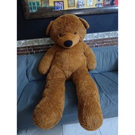 Teddy Bear 160cm Prelove