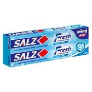 SALZ FRESH JAPANESE MINT 140G.X2