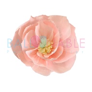 20cm / 25cm / 30cm Paper Flower Crepe / Kertas Bunga