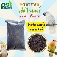 [1kg.] อาหารนก เมล็ดไนเจอร์ Niger Seed อาหารสำหรับ นก นกแก้ว ทุกสายพันธ์ เลิฟเบิร์ด กรีนชีค ค็อกคาเท