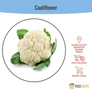 Cauliflower 花椰菜 (1pc)