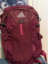 Gregory Swift H2O 20L Daypack