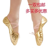 Golden Dance Shoes Children's Belly Dance Shoes Women's Soft-Soled Practice Shoes Girls' Dance Shoes Ballet Shoes Cat Claw Shoes Silver Hot Point Indian Dance Shoes Adult