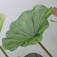 Summer Large Three-Dimensional Simulation Lotus Lotus Leaf High-End Silk Paper Art Flower Shop Shopp