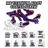 ✔READY STOCK✔ M6 TITANIUM COLOR SCREW M5 SCREW M6 M8 M10 M12 TITANIUM GOLD NUT Y15 RS150