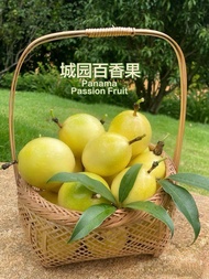 Buy 5kg@RM93 or RM18.60/kg 5kg(75pcs) Panama Rose Golden Passion Fruit 100% Sweet Buah Markisa Emas 