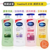 Vaseline凡士林 潤膚乳液 725ml 身體乳液 加強修護 全效滋養 透亮修護 蘆薈清爽【DDBS】