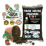 TANAH SUBUR CAMPURAN Semaian INDUK &amp; ANAK KELADI | Caladium Fertile Mix Soil [ 6 in 1 ]