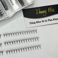 Mi Fan 6D Mix Box Wire Size 9-15mm (1000fan) _ 0.07 Thickness-Cong C-CC-D _ Thuy Ha Eyelash Extensions