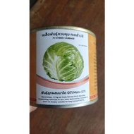 ♞,♘IN & CO F1 HYBRID WONDERBALL CABBAGE SEED 100 g