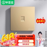 Bias Golden Network Panel Computer Socket Network Port Network Cable Socket Panel Super 5/6/7 Type 8