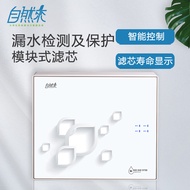 Natural Drinking Reverse Osmosis Water Purifier RO Reverse Osmosis Dual Water Outlet Water Purifier 