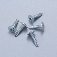 Phillips Head Self-Tapping Screw Phillips Self-Tapping Screw Self-Tapping Screw Long Self-Tapping Sc