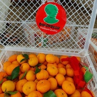Buah Jeruk Santang Isi 6 Kg/Jeruk Kecil Manis/Hampers Imlek/Santang