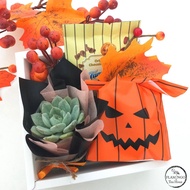 Halloween Gift Box with Plants &  Cookies & Flower Tea or Candle, Gift For Halloween, Halloween Corp