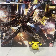 MG 1/100 Blitz Gundam