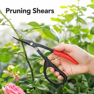 Universal Bonsai Scissors Bonsai Twig Scissor For Bonsai Small Branch Pruning