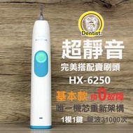 😊HX-6250😊相對應HX-6231牙刷頭 臉刷 美白牙刷子 PHILIP飛利浦音波聲波電動牙刷