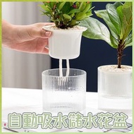 自動吸水儲水花盆（透明·10cm）懶人自動吸水儲水花盆 透明水培塑膠花盆 盆栽專用