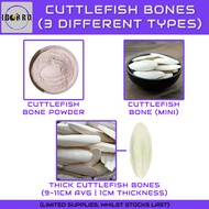 Cuttlefish Bone Variation — (Cuttlefish Bone Powder | Mini Cuttlefish Bone | Thick Cuttlefish Bone For Isopod / Reptile)