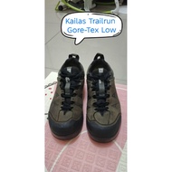 Trailrun Gore-Tex Low Shoes