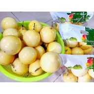 巴拿马黄金玫瑰百香果Panama Golden Rose Passion Fruit 100%Organic