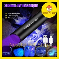 Professional Pet Fungus Detector UV Light Rechargeable Cat Ringworm Detector Fungus Light UV 365nm