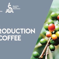 體驗 SCA 精品咖啡協咖啡入門課程